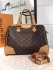 Louis Vuitton Bag 009